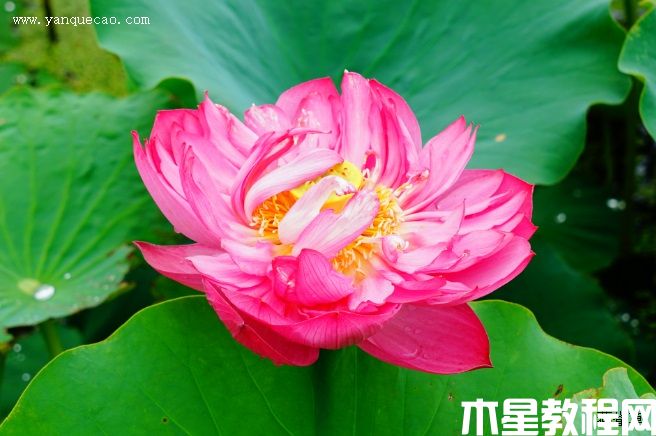 江苏飞虹 江苏飞虹