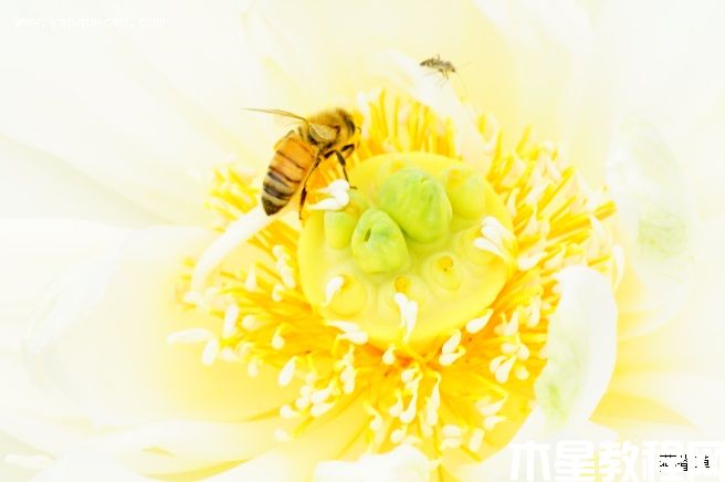 碧云(图3) 碧云