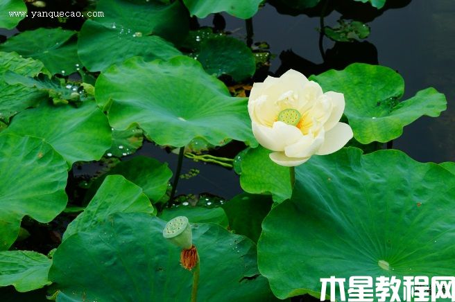 希望(图3) 希望