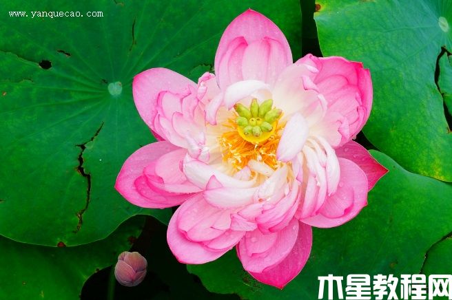 东湖夕照 东湖夕照