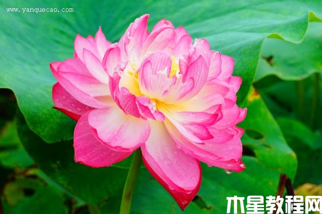 展宏图 展宏图