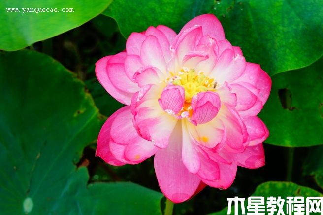 展宏图 展宏图