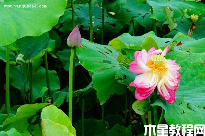 展宏图(图3) 展宏图
