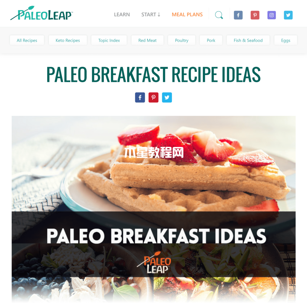 PaleoLeap网站文章截图
