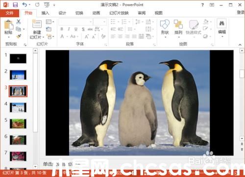 PowerPoint2013如何制作简易的电子相册