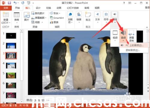 PowerPoint2013中怎么给相册添加音乐